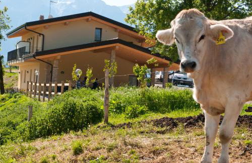 Agriturismo Al Franet - Photo 67