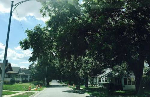 The Barker Cottage - Foto 14