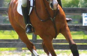 Play All Day - Sleep By The Stream at Night - Swimming Hole - Foto 9