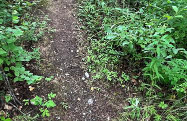 Bass Farm Twin Lakes Couples Dry Cabin - Photo 14