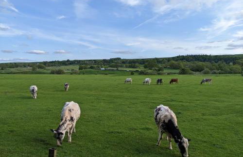 Brook Cottage Askrigg - Photo 43