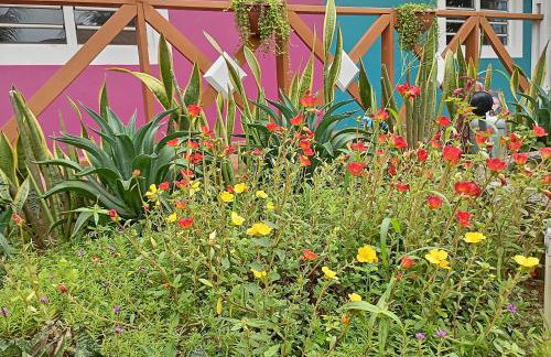 Appartement N01 T3 - Foto 14