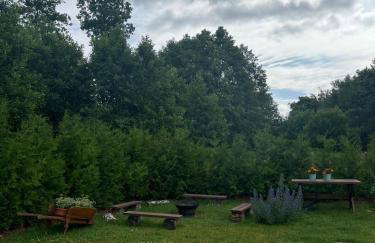 Zielone Domki - Foto 23