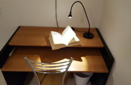 Patras Palm Tree - Foto 51