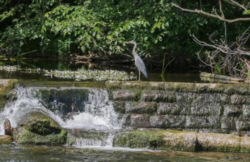 21 Eamont Park - Foto 23