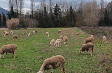 Agriturismo I Due Mondi - Foto 37