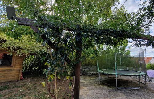 le refuge du bonheur - Foto 14