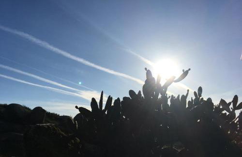 Quinta do Sobral de São Geraldo - Foto 15
