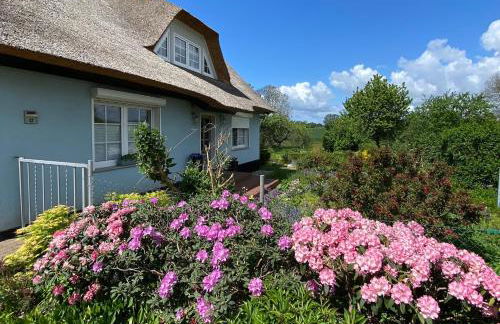 Reethaus Vilmnitz - Ferienwohnung Goor - Foto 45