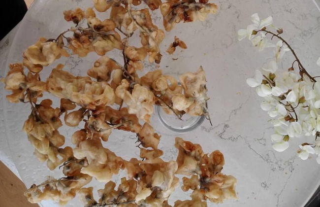 Agriturismo La Borina - Foto 50