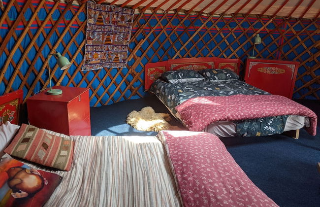 Inch Hideaway Eco Glamping - Foto 24