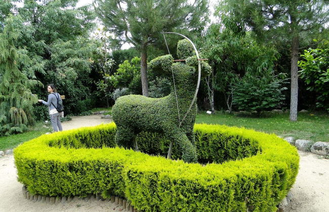 Enchanted Forest Tickets - Foto 9