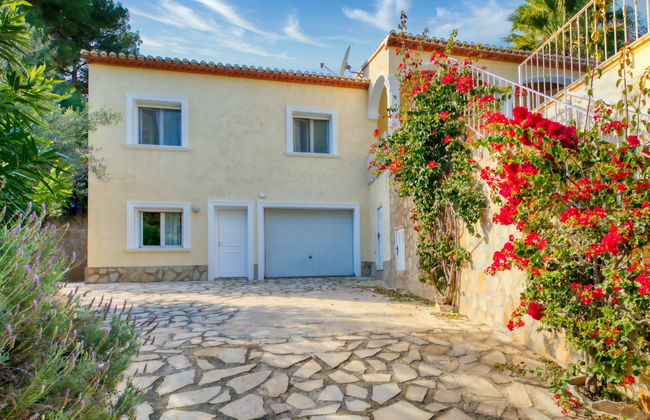 Eucaliptus - Foto 35