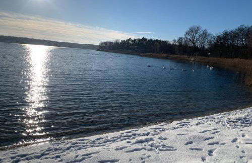 Wielkopolska Szydłówiec - Foto 15