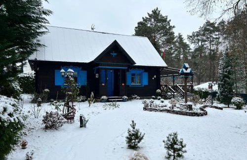 Niezapominajka - Foto 66