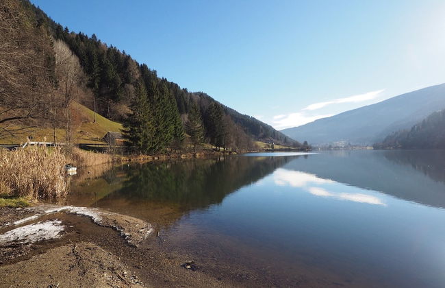 Apartment in Styria Near Grebenzen - Foto 29