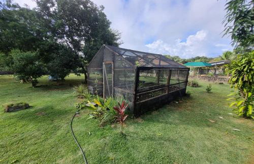 Chácara Cantinho dos Sonhos - Foto 58