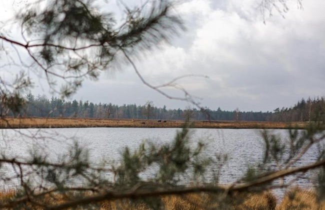 Bungalow in Natural Surroundings - Photo 25