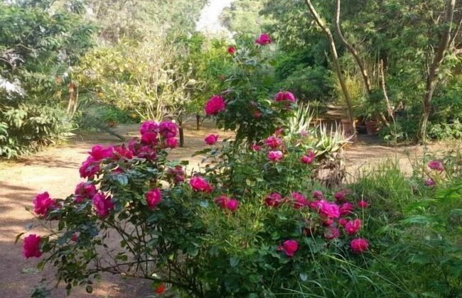 Casa Orsoni - Photo 62