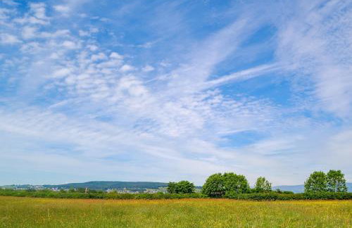 Bumblebee Nook - Foto 24