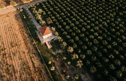 A wonderful relaxing place. Nice view. Romantic sunset - Foto 15