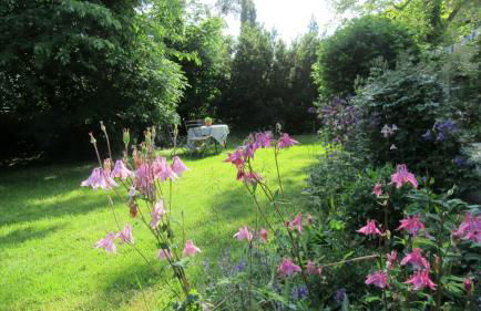 Familiennest Vogelwuid - Photo 25