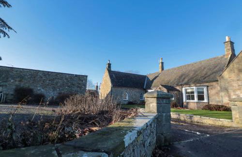 Silverbirch - Foto 17