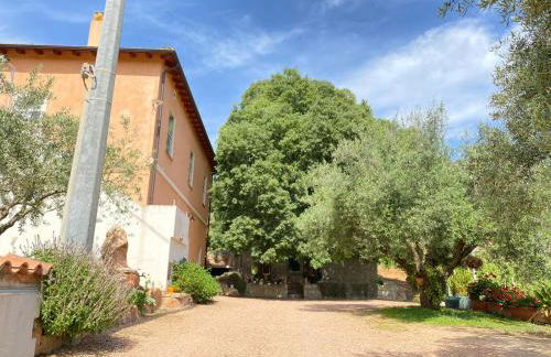 Monte Astili - Foto 31