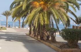 Atico Apartament Rose - Foto 67