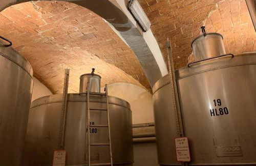 Fattoria Di Pancole - Foto 71