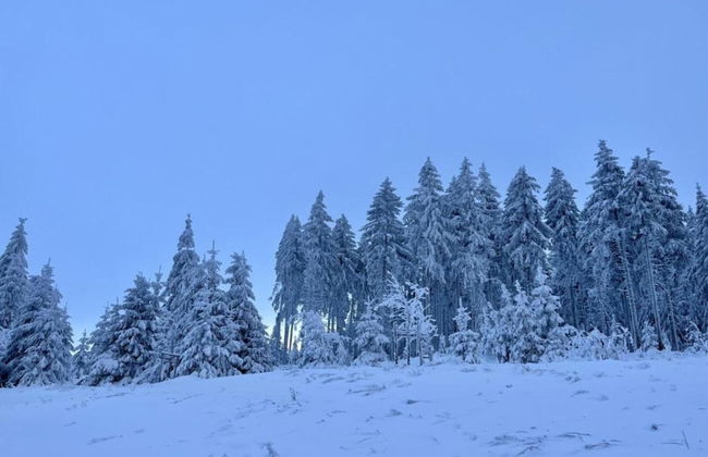 Holiday Home in Suhl Near Rennsteig Trail - Foto 37