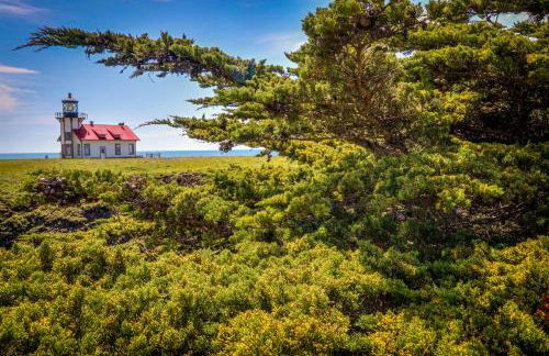 Dolphin Manor - Foto 26