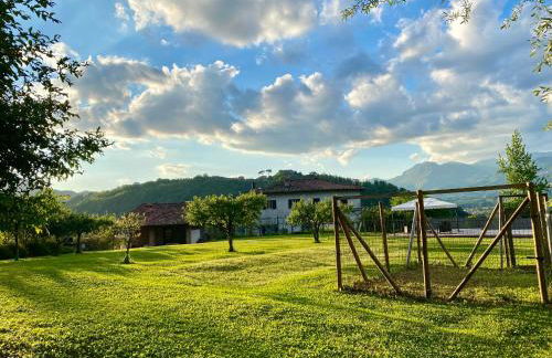 Il Nido - Private villa with pool and jacuzzi - Foto 38