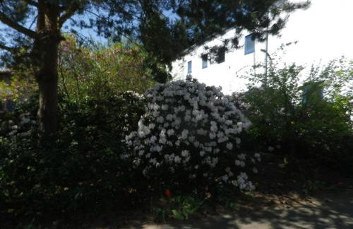 Alte Malztenne im Herzen der Schorfheide - Foto 14