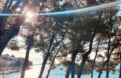 Villa Leonardo - Foto 35