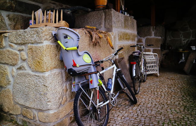 Casa das Palmeiras - Pedagogic Farm - Foto 121