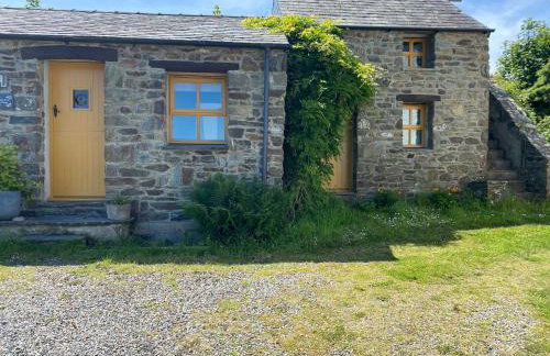 Badger Banc - Foto 5