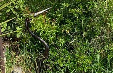 Magnifique vue sur la mer ... - Foto 71