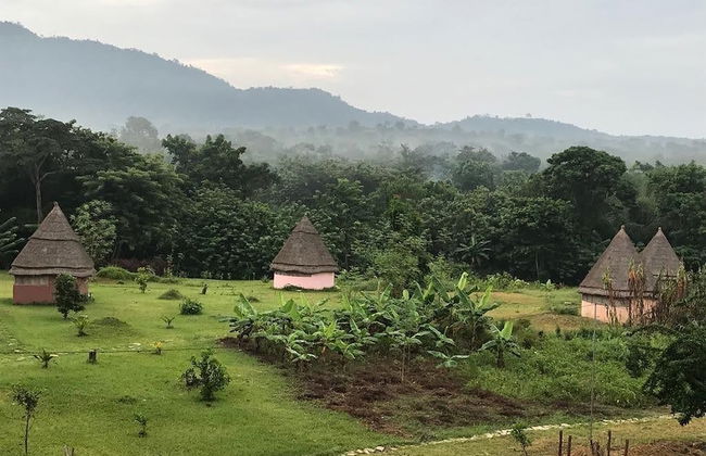 Refuge du Mont Agou - Photo 39