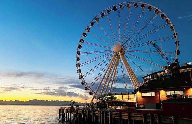 Elektra Muse Studio - Foto 14