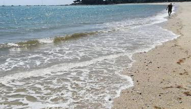 Location proche plage de Penvins, Sarzeau - Foto 3