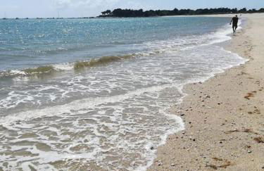 Location proche plage de Penvins, Sarzeau - Foto 3