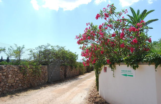 Terra di Leuca - Foto 34