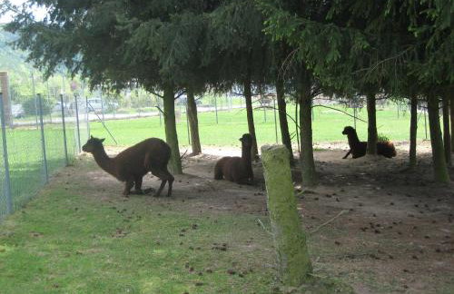 Ferienwohnung Falkenweg - Foto 10