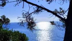 House on Punta - Photo 3