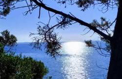 House on Punta - Photo 3