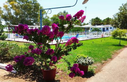 Kipriotis Hotel - Foto 60