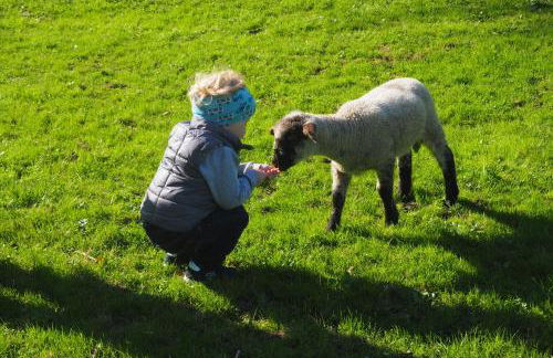 Ferienhütte in Ruhpolding - Foto 16