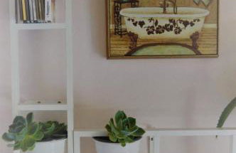 Sunny Garden - Foto 43