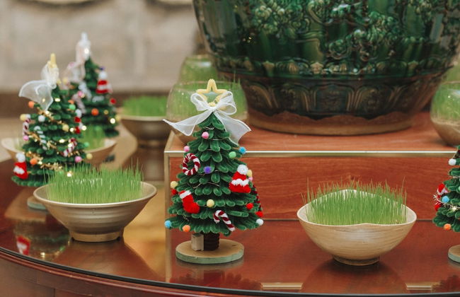 DLG Hotel Danang - Photo 17